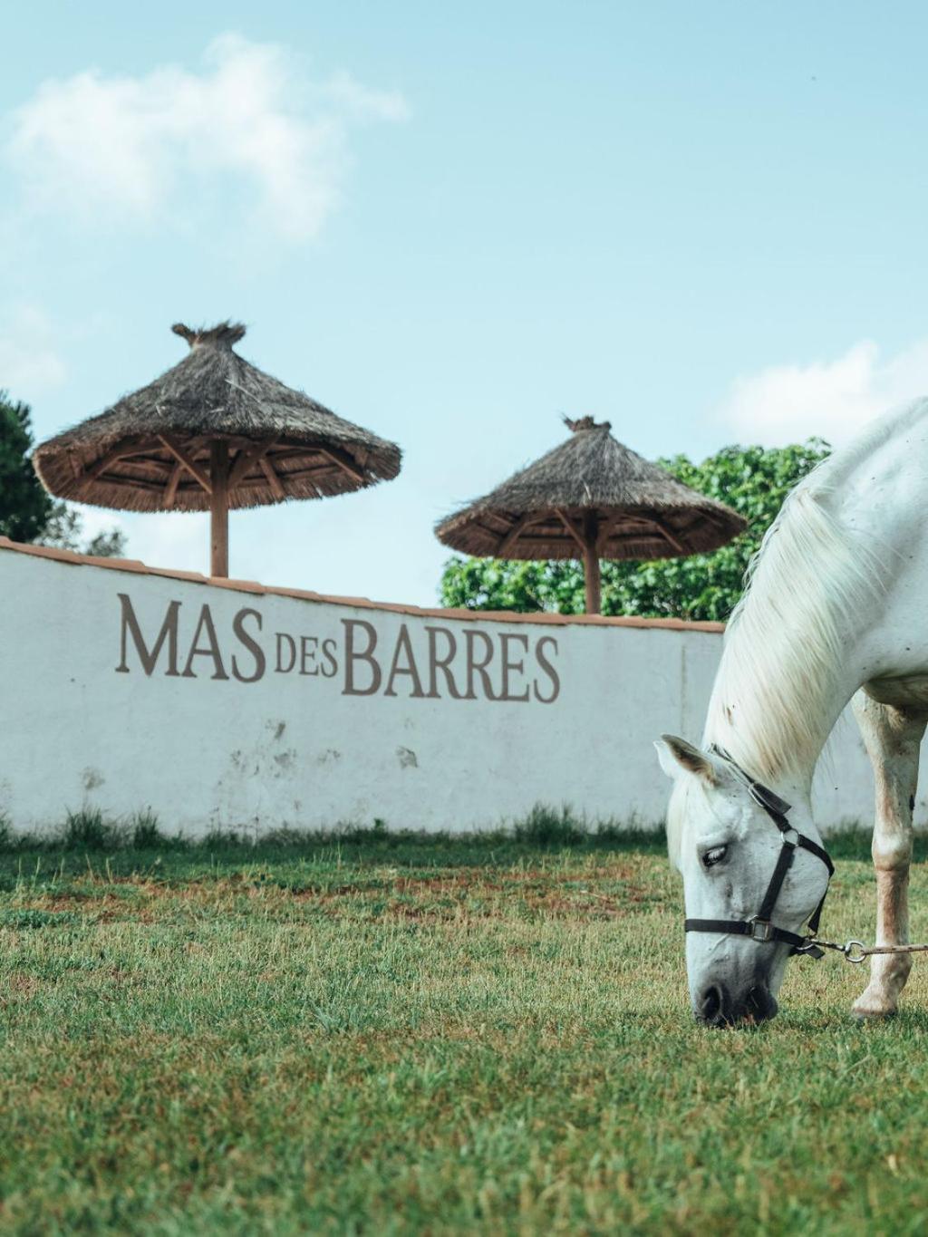 Hotel Mas Des Barres Saintes-Maries-de-la-Mer Exterior photo