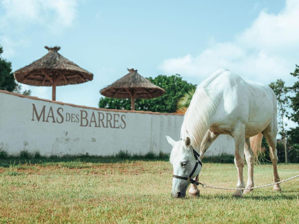 Hotel Mas Des Barres Saintes-Maries-de-la-Mer Exterior photo